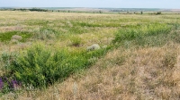 Орловские рудники