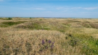 Орловские рудники