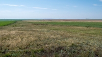 Рудники у Косматой Шишки