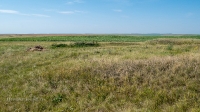 Рудники у Косматой Шишки