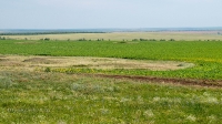 Рудники у Косматой Шишки
