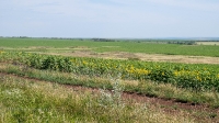 Рудники у Косматой Шишки