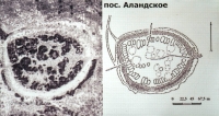 Кваркенский район