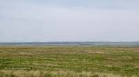 Курганы у дороги Гай-Оренбург