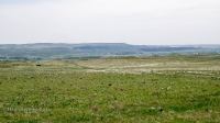 Курганы у дороги Гай-Оренбург
