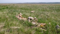 Курганы у дороги Гай-Оренбург