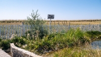 Родник Акбулак (Белый Ключ). Август 2021 года