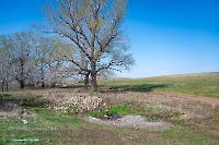 Беляевский район
