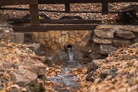 Кувшиновский родник. Осень 2023 года