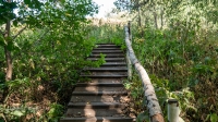 Родник Вишневка