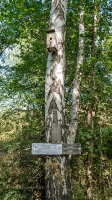 Родник Вишневка
