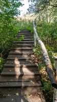 Родник Вишневка