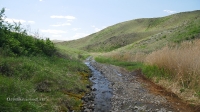 Царский родник