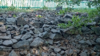 Орский родник. Июнь 2019 года