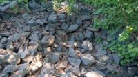 Орский родник. Июнь 2019 года