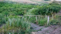 Родник Белоглинка. Июль 2020 года