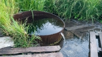Родник Белоглинка. Июль 2020 года