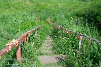 Родник Белоглинка. Июнь 2023 года