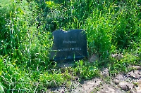 Родник Белоглинка