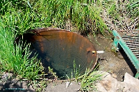 Родник Белоглинка. Июнь 2023 года