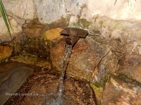 Родник у села Татарский Саракташ. 2016 год