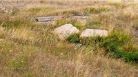 Родник Тасбулак