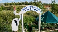 Родник Вязовский