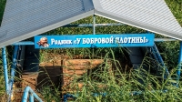 Родник «У бобровой плотины»