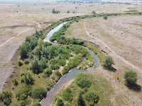Река Черная