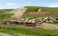 Река Родниковка