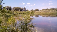 Река Сакмара