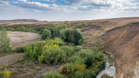Река Дергаиш