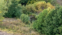 Река Дергаиш