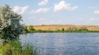 Река Баузда. Июнь 2021 года