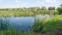 Река Баузда