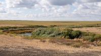Река Каменка