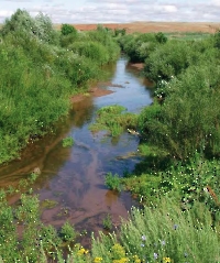 Водные ресурсы