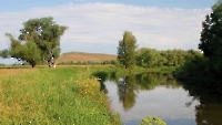 Река Салмыш