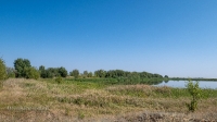 Троицкое водохранилище (пруд Акбулак). Август 2021 года