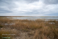 Красночабанское водохранилище. Октябрь 2024 года