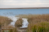 Красночабанское водохранилище. Октябрь 2024 года