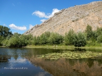 Саракташский район