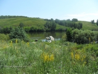 Кувандыкский район