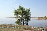 Кумакское водохранилище