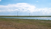 Озеро Будамша. Июнь 2021 года