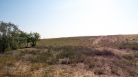 Буранные пески