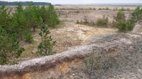 Андрианопольские старательские разработки. Август 2021 года