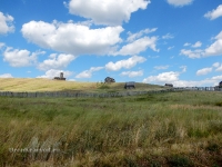 Комплекс «Красная гора»