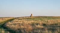 Новоорский район