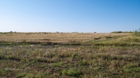 Старое кладбище со стелой-кулпытасом близ села Буранчи. Август 2021 года